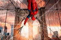 Supehero Bridge Web Digital Background